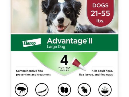 Advantage II Large Dog Vet-Recommended Flea Treatment & Prevention For Sale