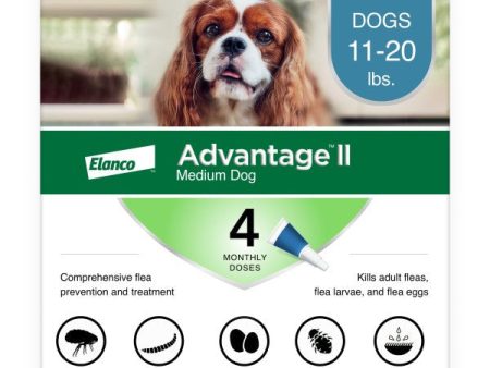 Advantage II Medium Dog Vet-Recommended Flea Treatment & Prevention For Discount